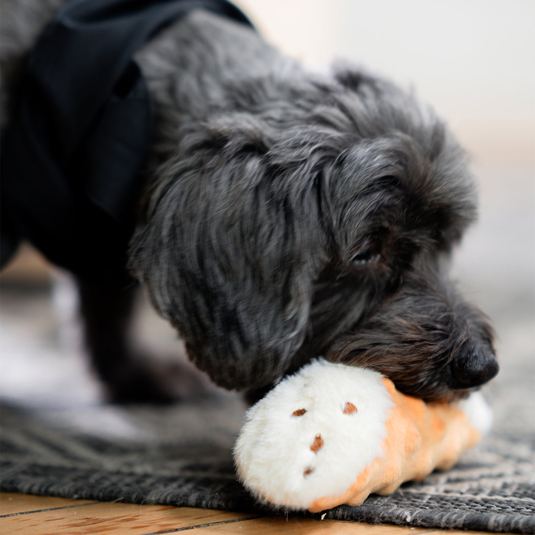 Cannoli Dog Toy