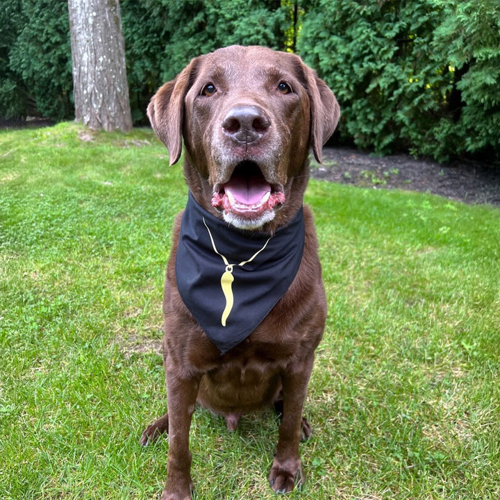 Italian Horn Doggie Bandana