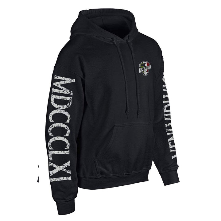 Veni Vidi Vici Hoodie