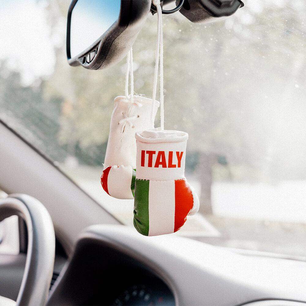 Italy Mini Boxing Gloves